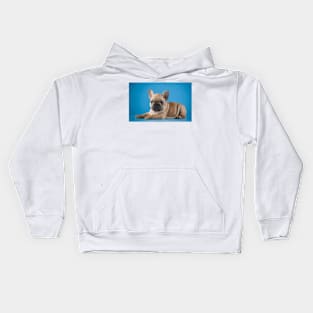 French Bulldog Digital Painting Kids Hoodie